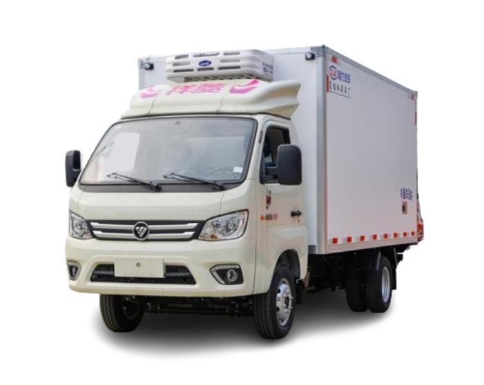 FOTON 4x2 2 ton freezer truck