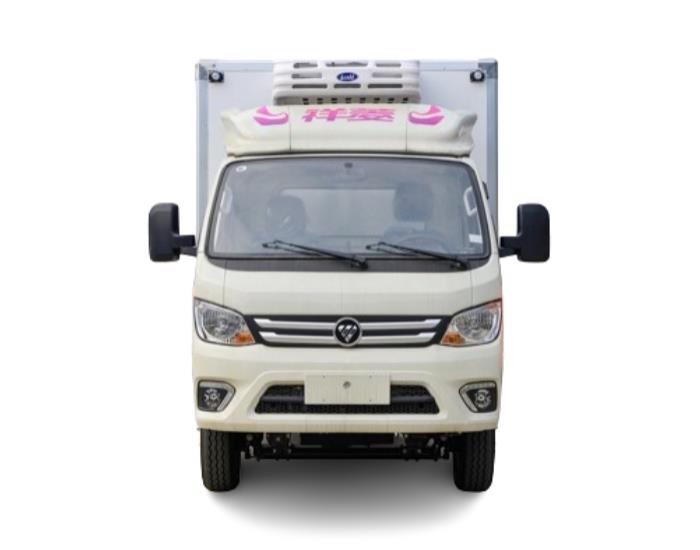 FOTON 4x2 2 ton freezer truck