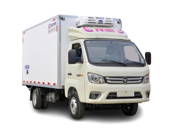 FOTON 4x2 2 ton freezer truck