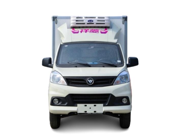 FOTON 9 FT 2 Ton Freezer Refrigerated Truck